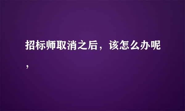 招标师取消之后，该怎么办呢，