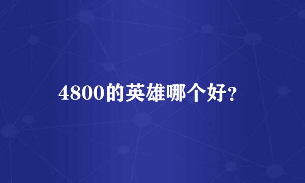 4800的英雄哪个好？