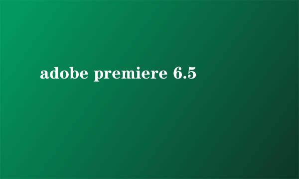 adobe premiere 6.5