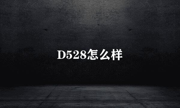 D528怎么样