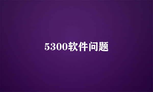 5300软件问题