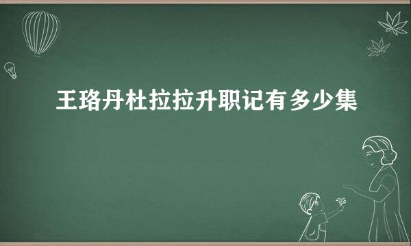 王珞丹杜拉拉升职记有多少集