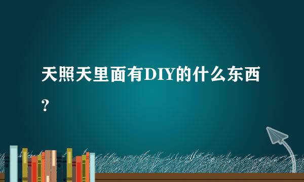 天照天里面有DIY的什么东西？