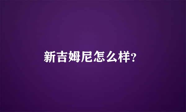 新吉姆尼怎么样？