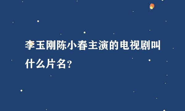 李玉刚陈小春主演的电视剧叫什么片名？