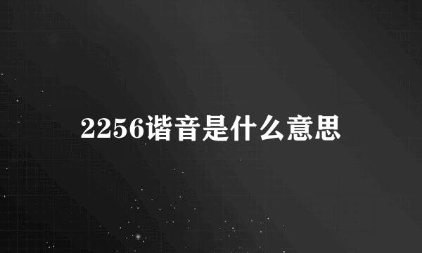 2256谐音是什么意思