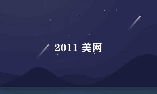 2011 美网