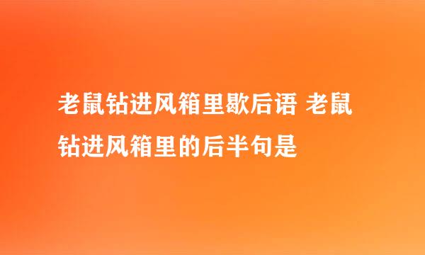 老鼠钻进风箱里歇后语 老鼠钻进风箱里的后半句是