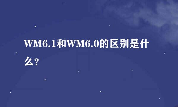 WM6.1和WM6.0的区别是什么？