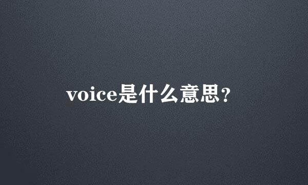 voice是什么意思？