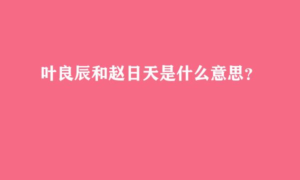 叶良辰和赵日天是什么意思？