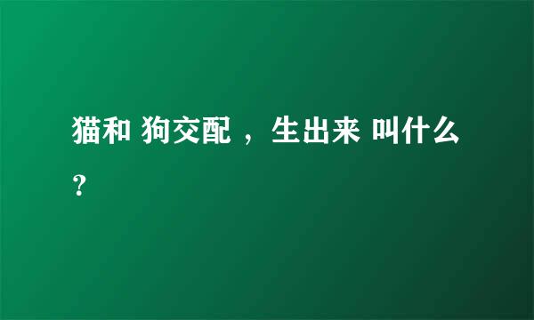 猫和 狗交配 ，生出来 叫什么？