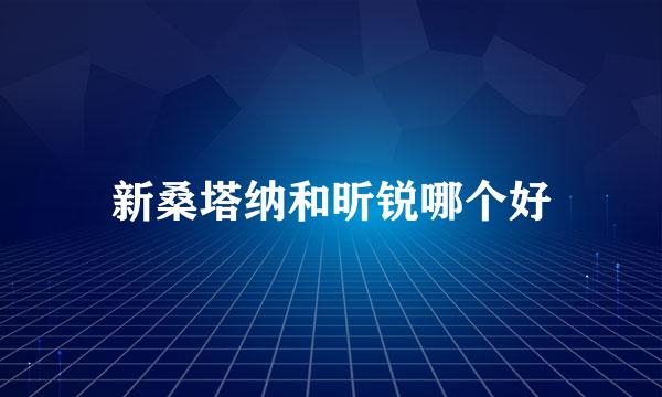 新桑塔纳和昕锐哪个好