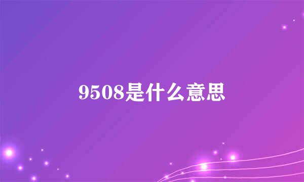 9508是什么意思