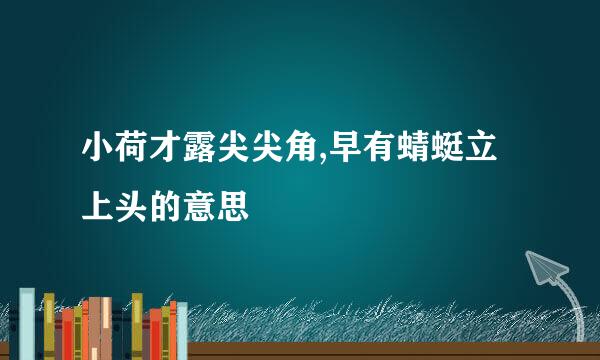 小荷才露尖尖角,早有蜻蜓立上头的意思