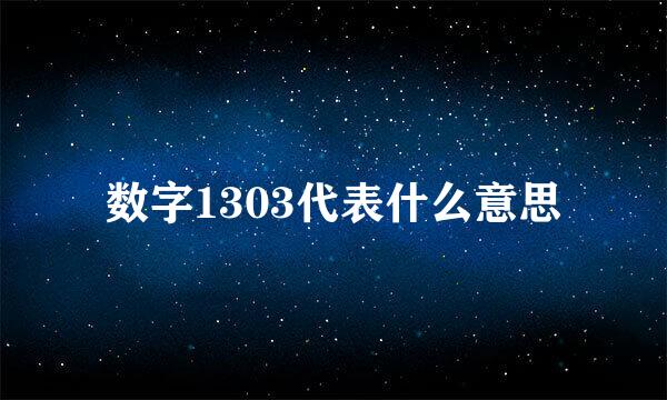 数字1303代表什么意思