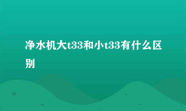 净水机大t33和小t33有什么区别