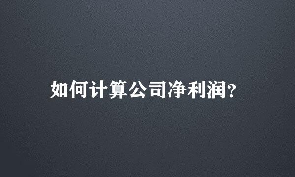 如何计算公司净利润？