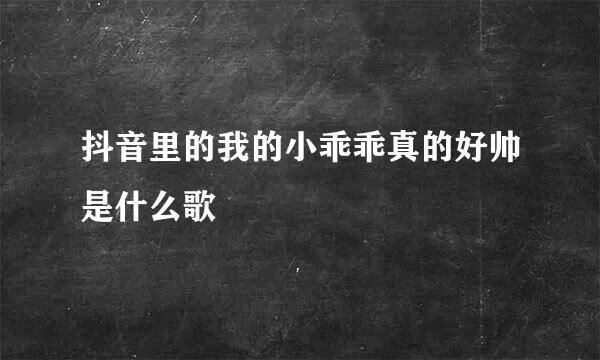 抖音里的我的小乖乖真的好帅是什么歌