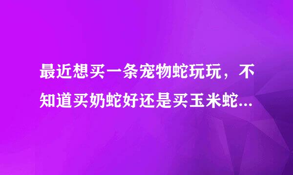 最近想买一条宠物蛇玩玩，不知道买奶蛇好还是买玉米蛇好。也不知道两个蛇有没有毒。