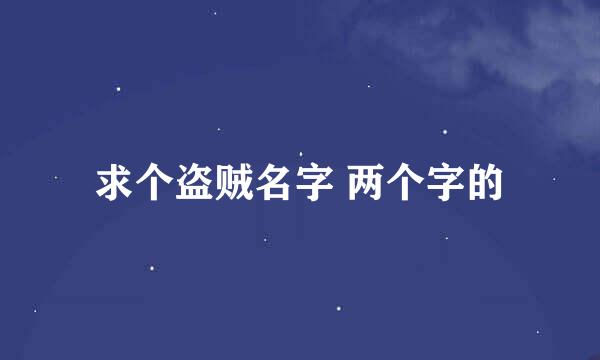 求个盗贼名字 两个字的