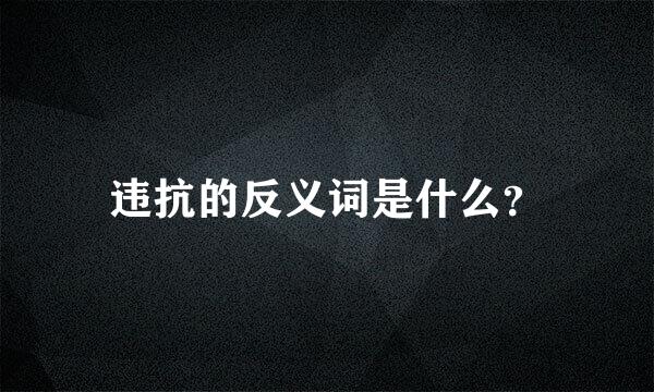 违抗的反义词是什么？