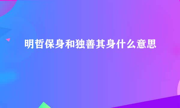 明哲保身和独善其身什么意思