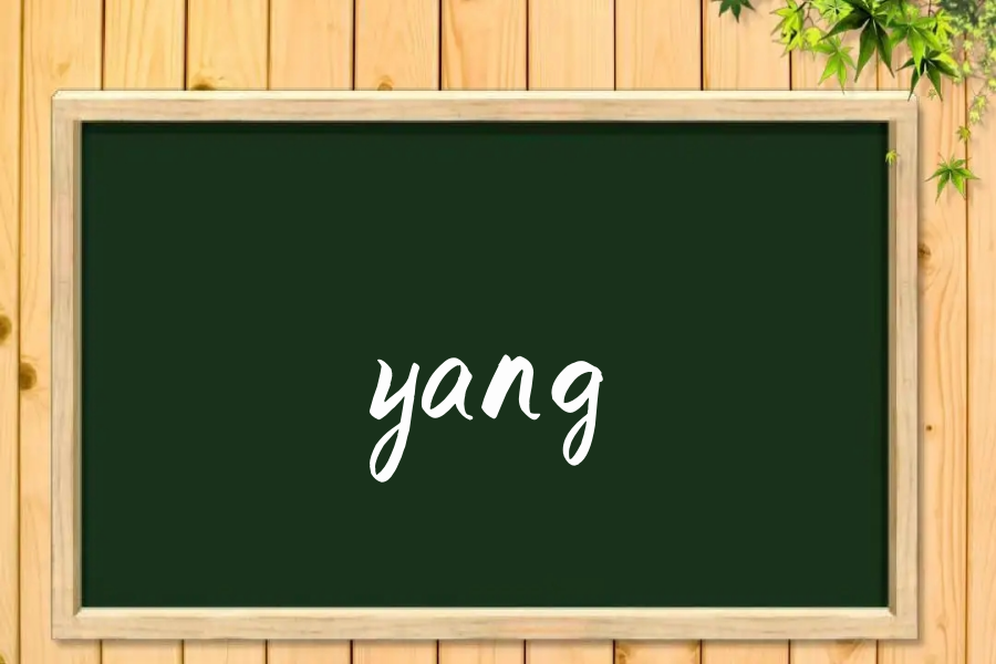 yang是什么意思