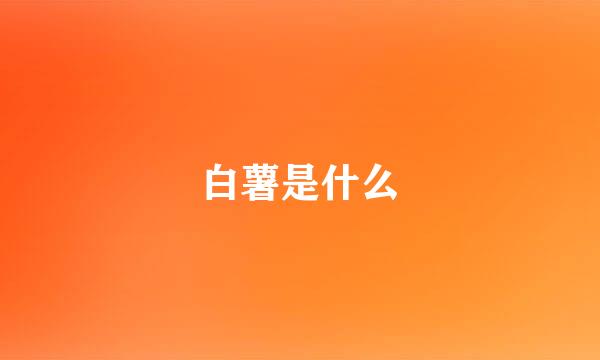 白薯是什么