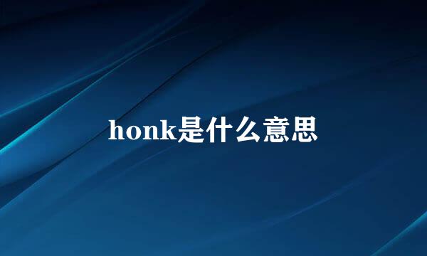 honk是什么意思