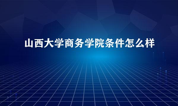 山西大学商务学院条件怎么样