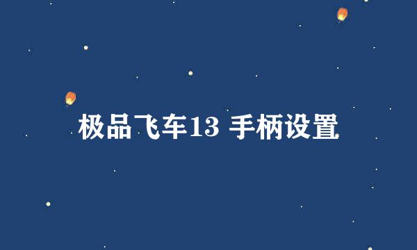 极品飞车13 手柄设置