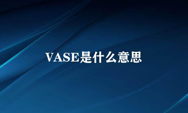 VASE是什么意思