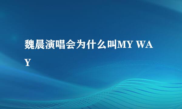 魏晨演唱会为什么叫MY WAY