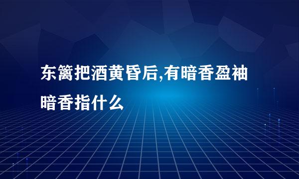 东篱把酒黄昏后,有暗香盈袖 暗香指什么