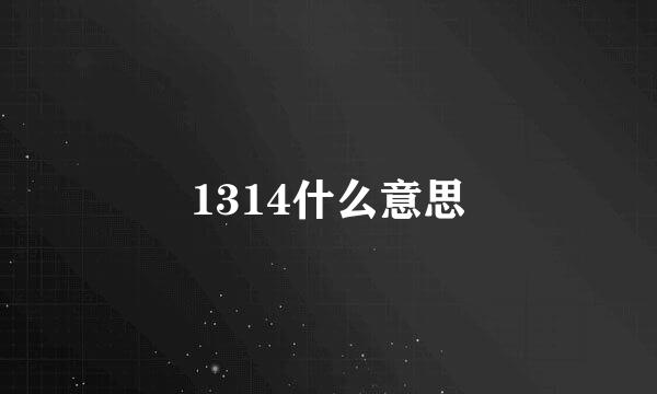 1314什么意思