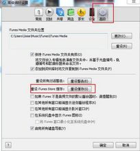 苹果手机itunes store登陆是什么意思？