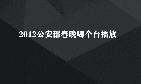 2012公安部春晚哪个台播放