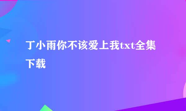 丁小雨你不该爱上我txt全集下载