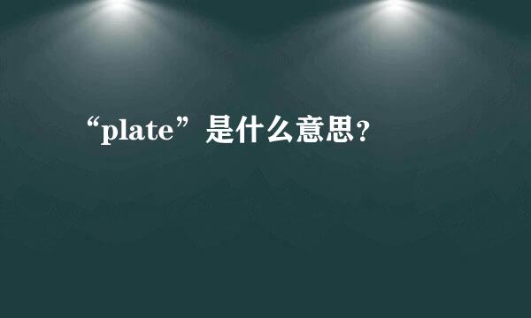 “plate”是什么意思？