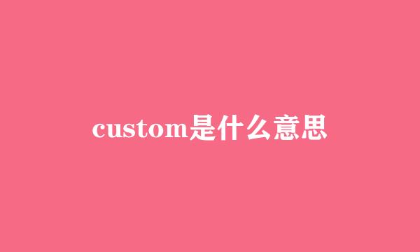 custom是什么意思