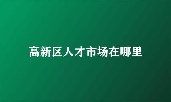 高新区人才市场在哪里