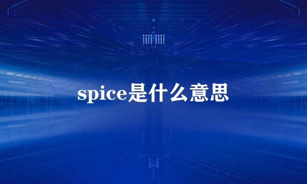 spice是什么意思