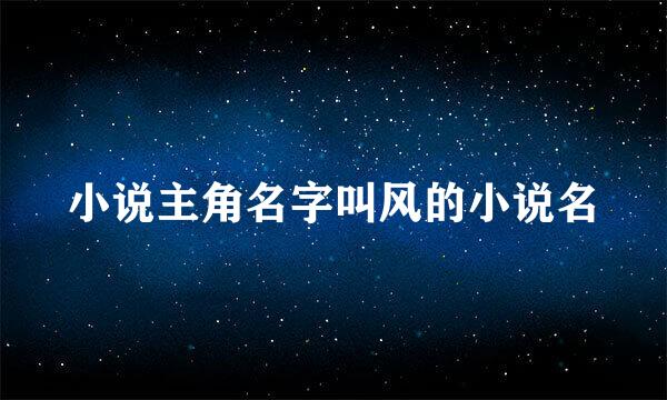 小说主角名字叫风的小说名