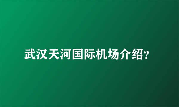 武汉天河国际机场介绍？