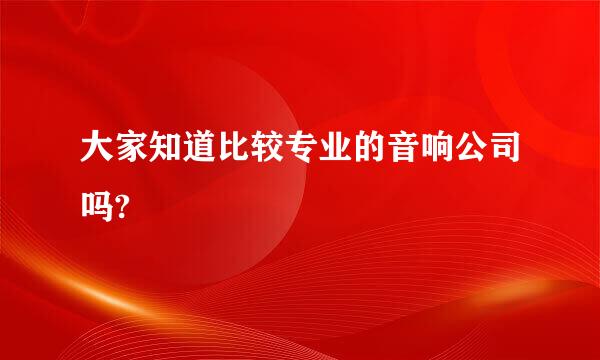 大家知道比较专业的音响公司吗?