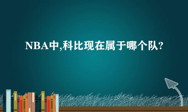 NBA中,科比现在属于哪个队?