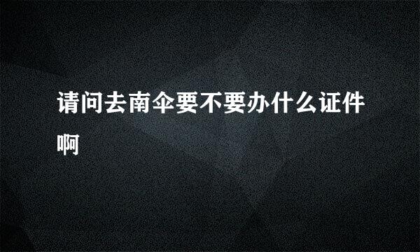 请问去南伞要不要办什么证件啊