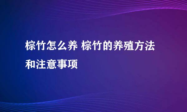 棕竹怎么养 棕竹的养殖方法和注意事项