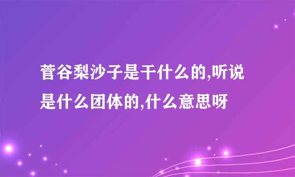 菅谷梨沙子是干什么的,听说是什么团体的,什么意思呀